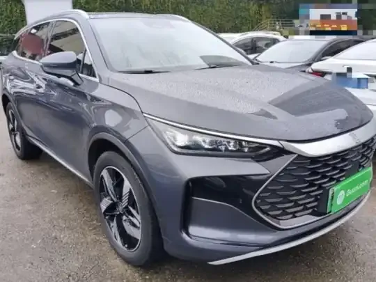 BYD Tang New Energy 2024 (125100 км)