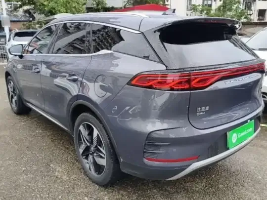 BYD Tang New Energy 2024 (125100 км)