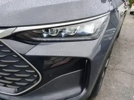BYD Tang New Energy 2024 (125100 км)