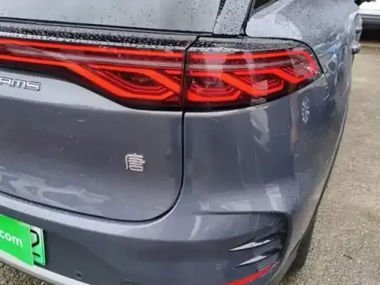 BYD Tang New Energy 2024 (125100 км)