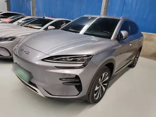 BYD Song PLUS New Energy 2024 (46800 км)