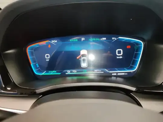 BYD Song PLUS New Energy 2024 (46800 км)