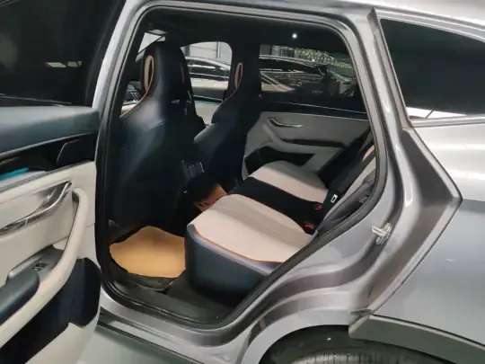 BYD Song PLUS New Energy 2024 (46800 км)