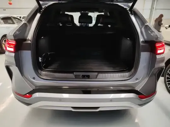BYD Song PLUS New Energy 2024 (46800 км)