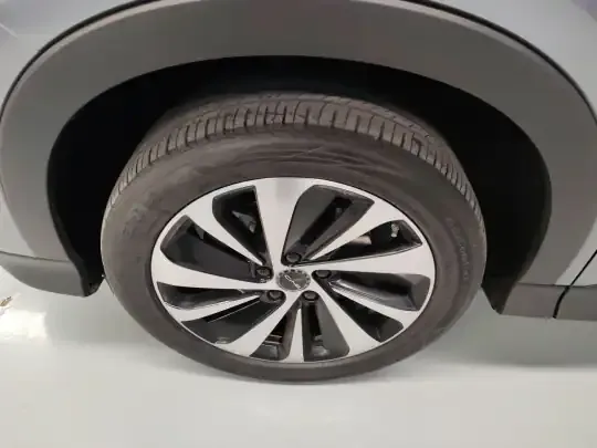 BYD Song PLUS New Energy 2024 (46800 км)