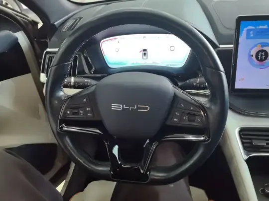 BYD Song PLUS New Energy 2024 (64600 км)