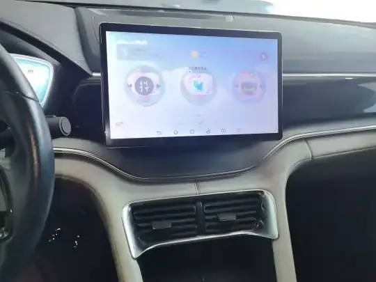 BYD Song PLUS New Energy 2024 (64600 км)