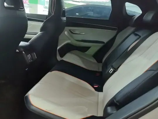 BYD Song PLUS New Energy 2024 (64600 км)