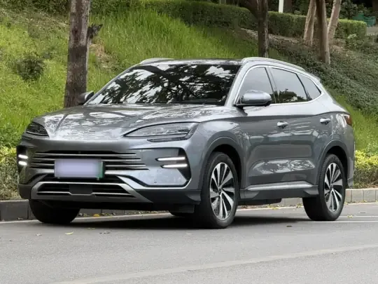 BYD Song PLUS New Energy 2024 (32600 км)