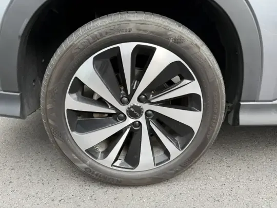 BYD Song PLUS New Energy 2024 (32600 км)