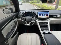 BYD Song PLUS New Energy 2024 (32600 км)