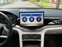 BYD Song PLUS New Energy 2024 (32600 км)