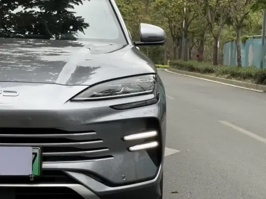 BYD Song PLUS New Energy 2024 (32600 км)