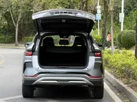 BYD Song PLUS New Energy 2024 (32600 км)