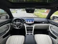 BYD Song PLUS New Energy 2024 (32600 км)