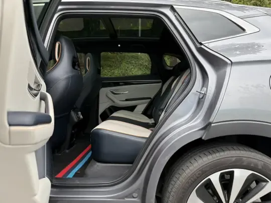 BYD Song PLUS New Energy 2024 (32600 км)