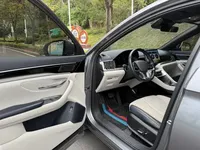 BYD Song PLUS New Energy 2024 (32600 км)