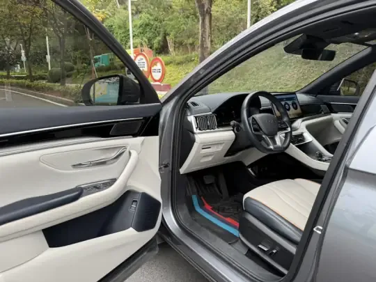 BYD Song PLUS New Energy 2024 (32600 км)