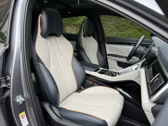 BYD Song PLUS New Energy 2024 (32600 км)