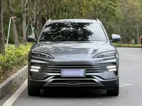 BYD Song PLUS New Energy 2024 (32600 км)