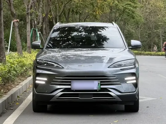 BYD Song PLUS New Energy 2024 (32600 км)