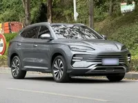 BYD Song PLUS New Energy 2024 (32600 км)