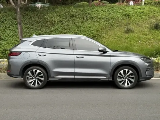 BYD Song PLUS New Energy 2024 (32600 км)