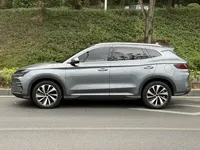 BYD Song PLUS New Energy 2024 (32600 км)