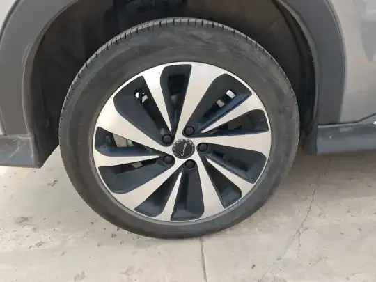 BYD Song PLUS New Energy 2024 (15800 км)