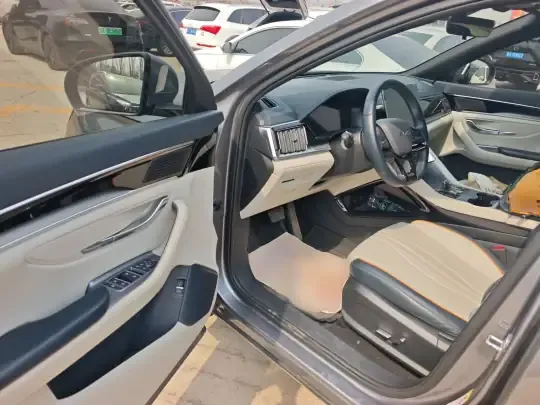 BYD Song PLUS New Energy 2024 (15800 км)