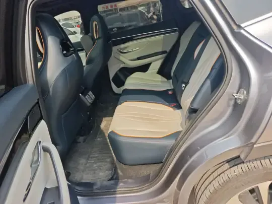 BYD Song PLUS New Energy 2024 (15800 км)