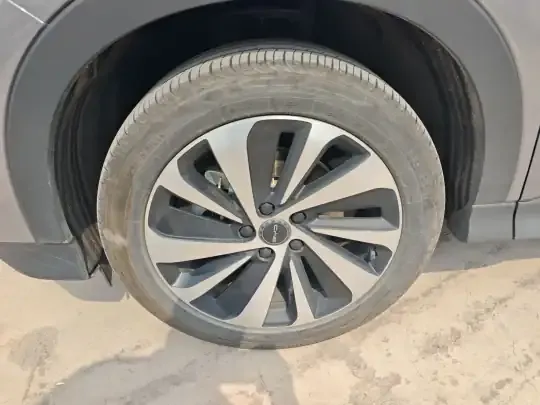BYD Song PLUS New Energy 2024 (15800 км)
