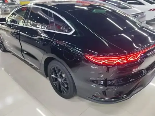 BYD Han 2024 (25000 км)