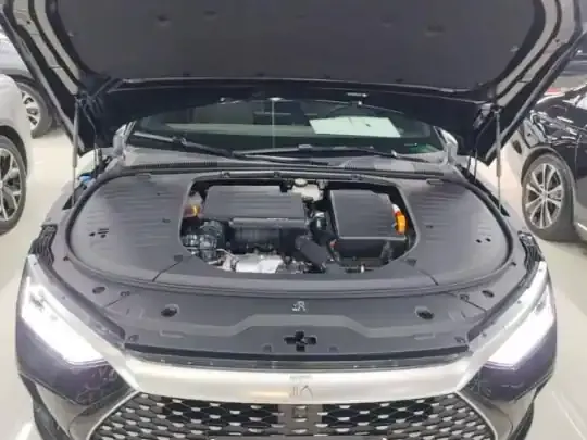 BYD Han 2024 (25000 км)