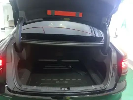 BYD Han 2024 (29900 км)