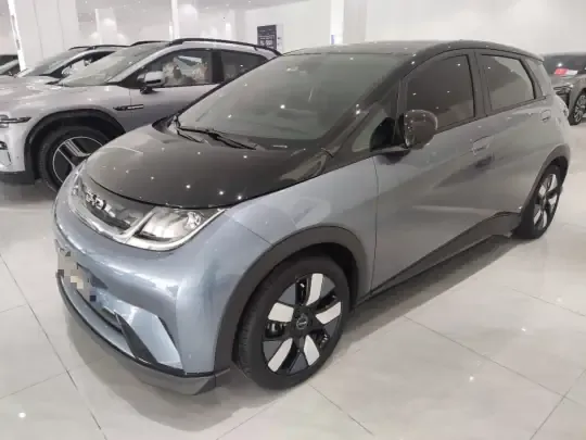 BYD Dolphin 2024 (10600 км)