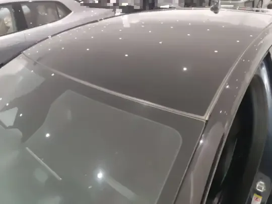 BYD Dolphin 2024 (10600 км)