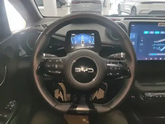 BYD Dolphin 2024 (10600 км)