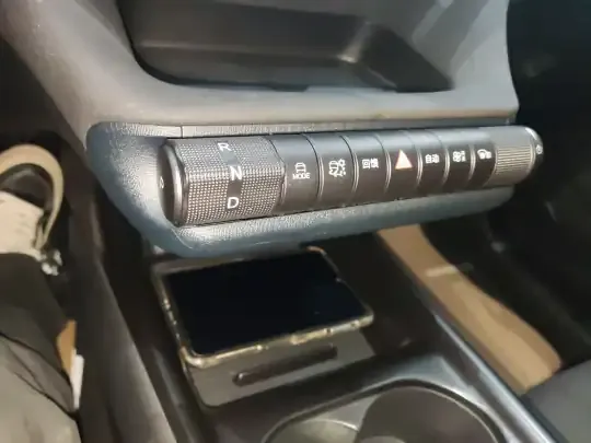 BYD Dolphin 2024 (10600 км)
