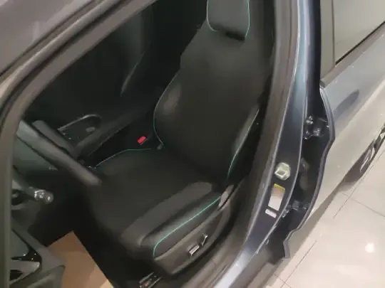 BYD Dolphin 2024 (10600 км)