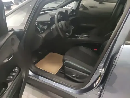 BYD Dolphin 2024 (10600 км)