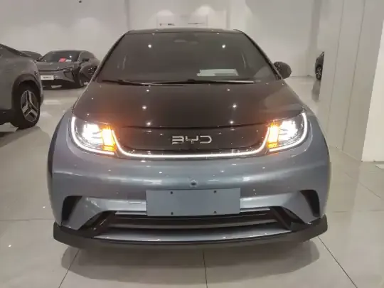 BYD Dolphin 2024 (10600 км)
