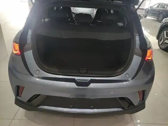 BYD Dolphin 2024 (10600 км)