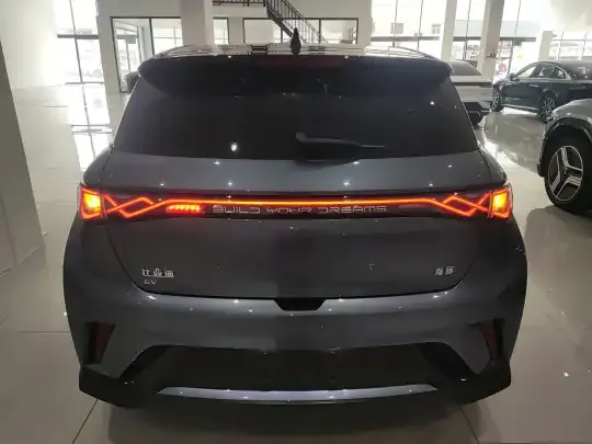 BYD Dolphin 2024 (10600 км)