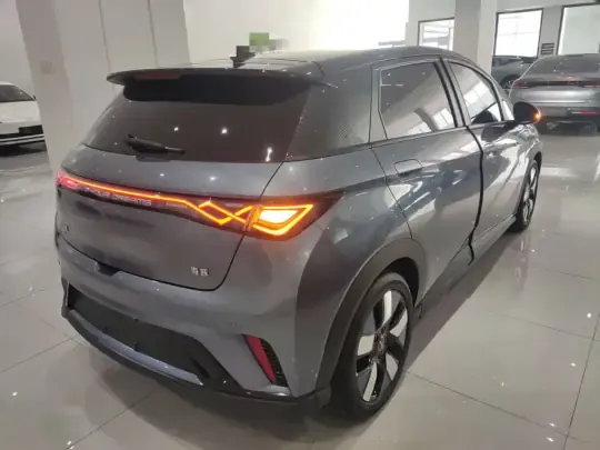 BYD Dolphin 2024 (10600 км)