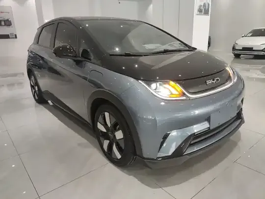 BYD Dolphin 2024 (10600 км)