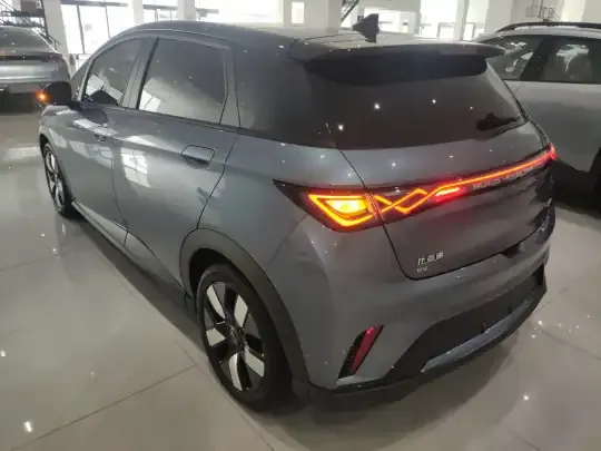 BYD Dolphin 2024 (10600 км)