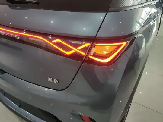 BYD Dolphin 2024 (10600 км)