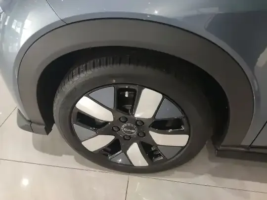 BYD Dolphin 2024 (10600 км)