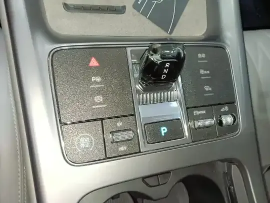 BYD Seal 2024 (53500 км)